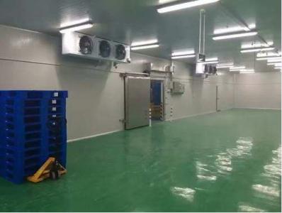 冷凍庫(kù)工程案例